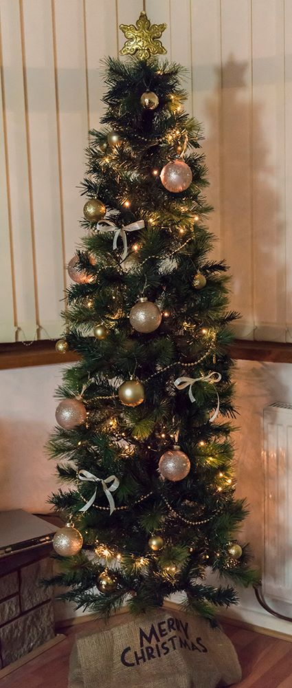 12356863_10153729042065856_3359803676429055106_o