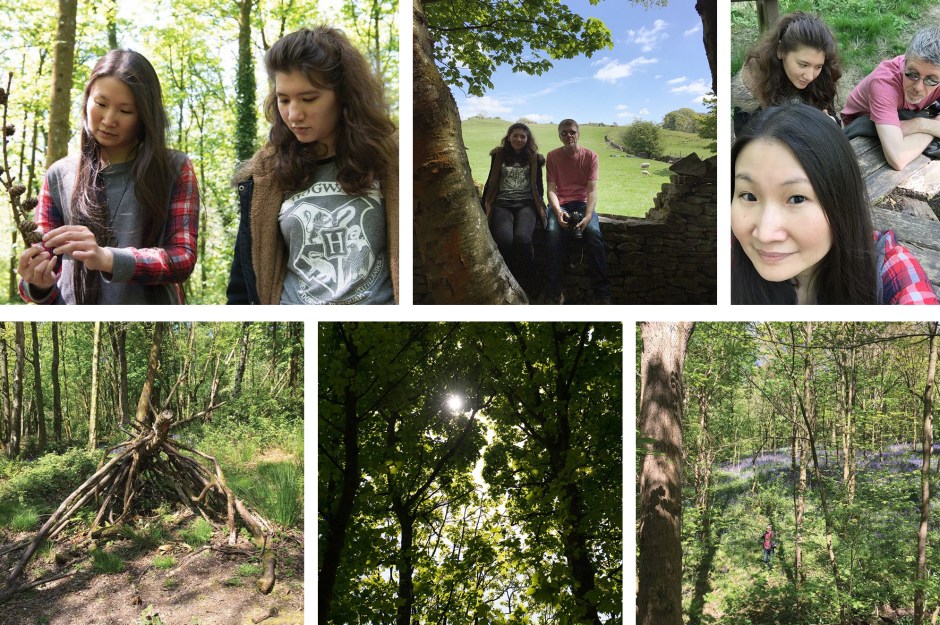 18359031_10155128500520856_4906400600311179133_ow