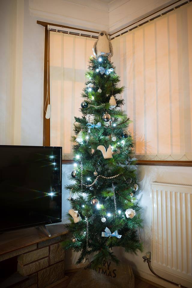 24232839_10155735181740856_8424658280901253730_n