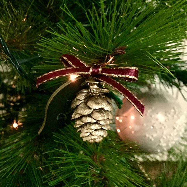 46857635_537374106673775_3495541969697695164_n