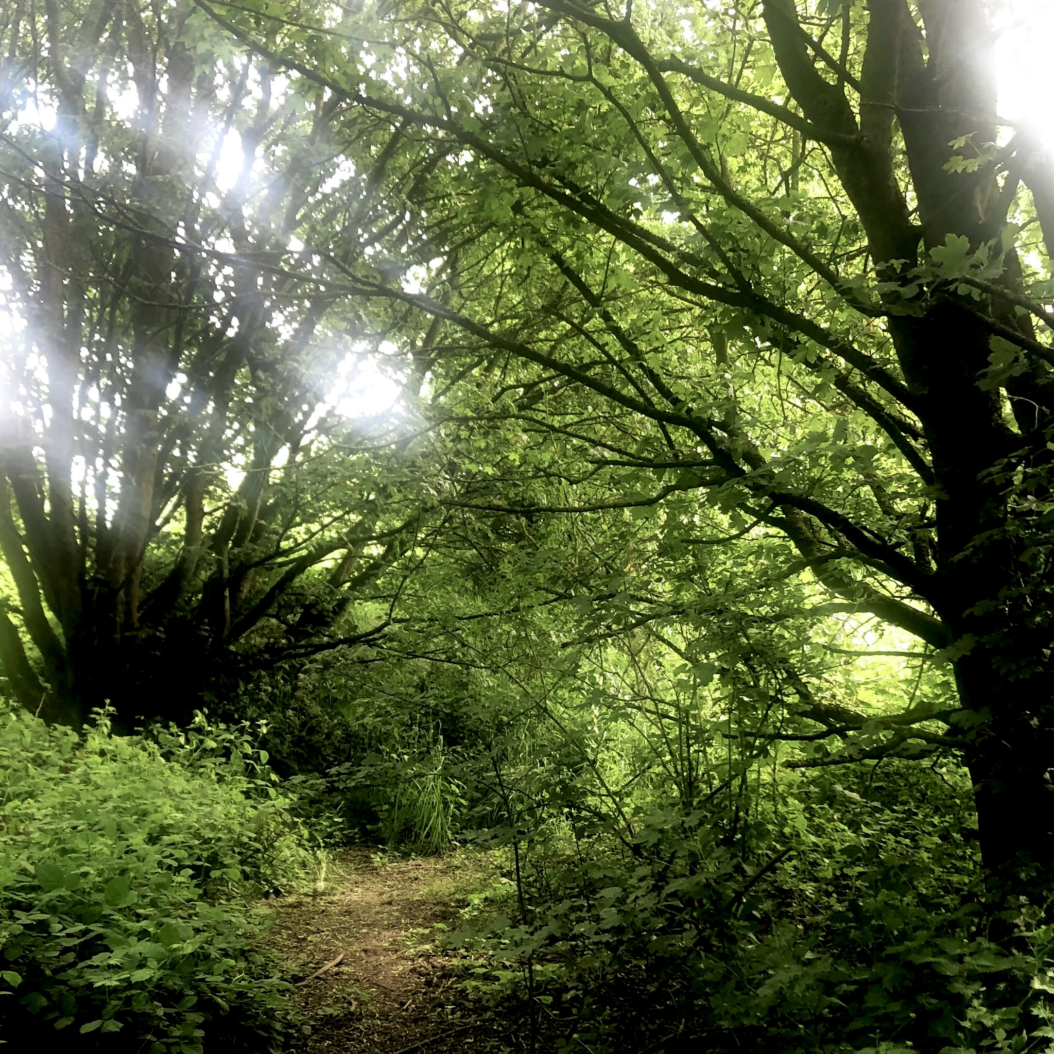 north blackpool pond trail sign