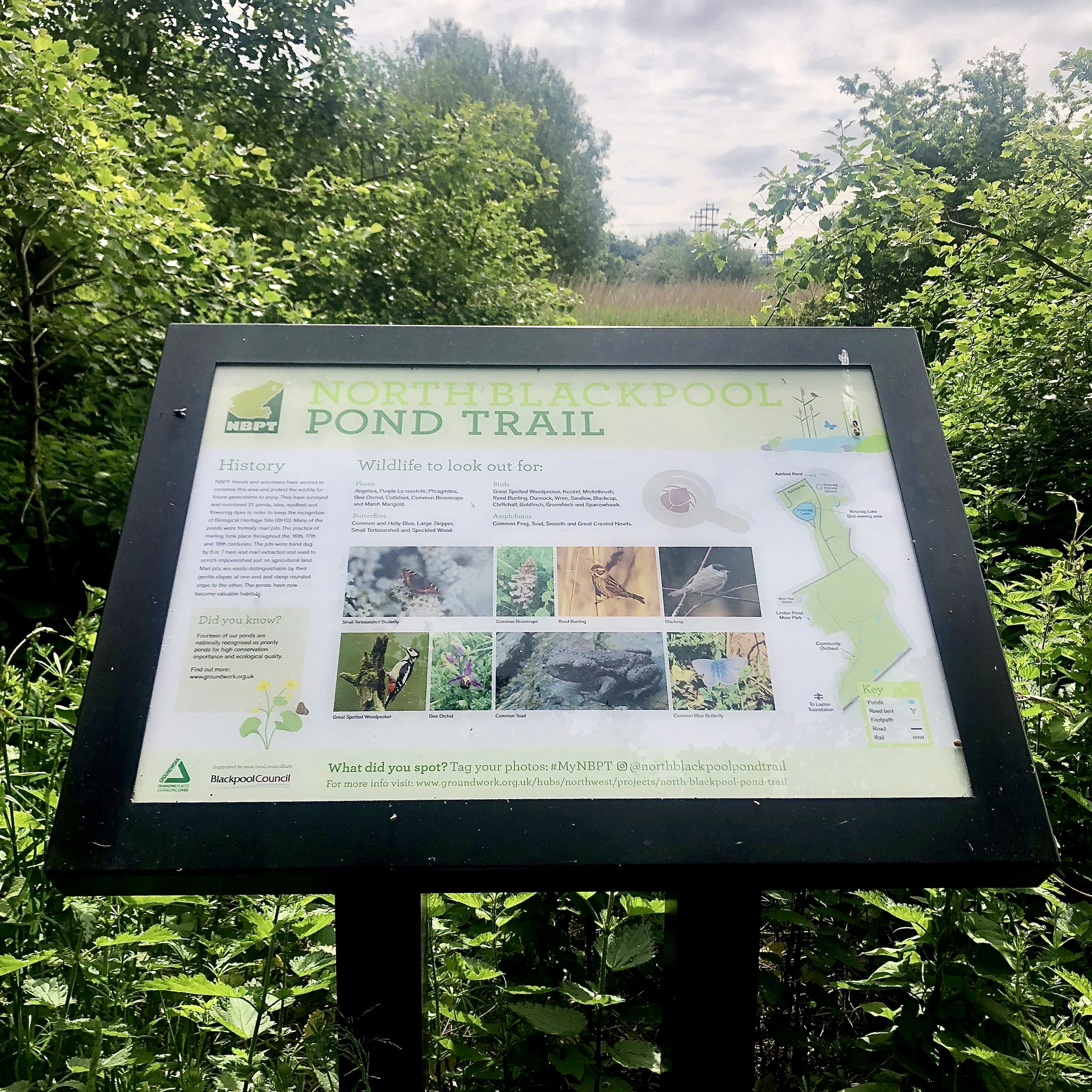 north blackpool pond trail sign
